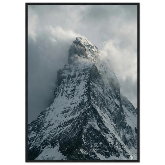 93987538-ecc3-4d6f-8054-b99d543afa4c