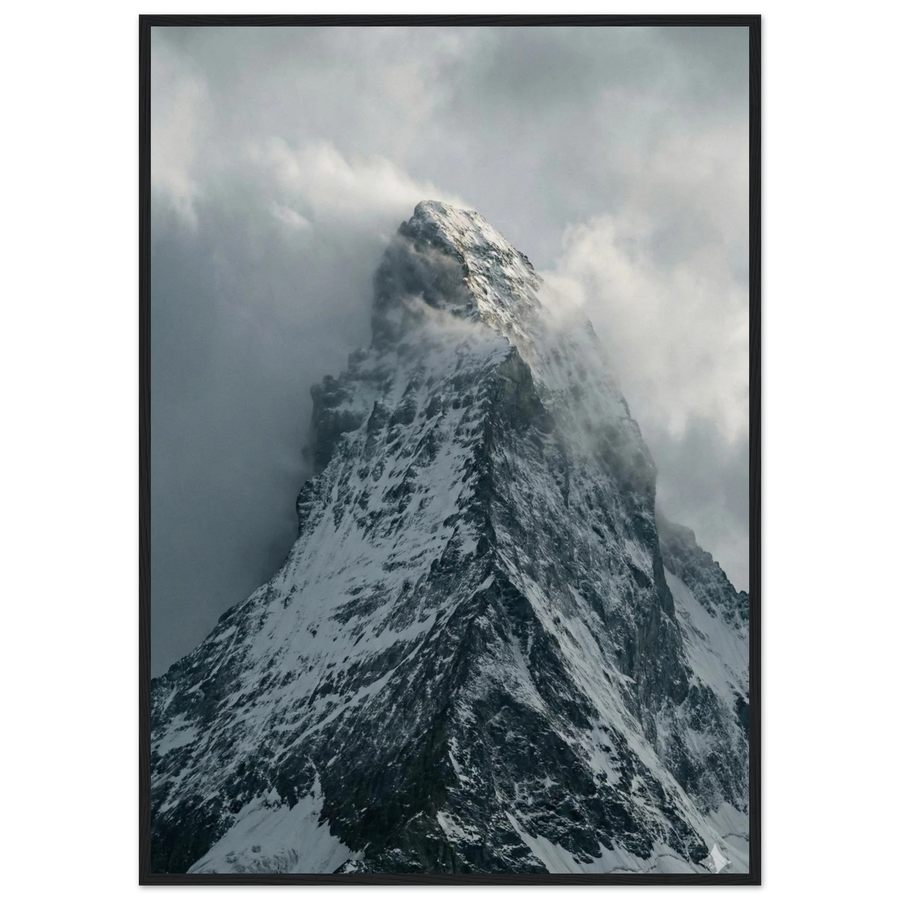 93987538-ecc3-4d6f-8054-b99d543afa4c