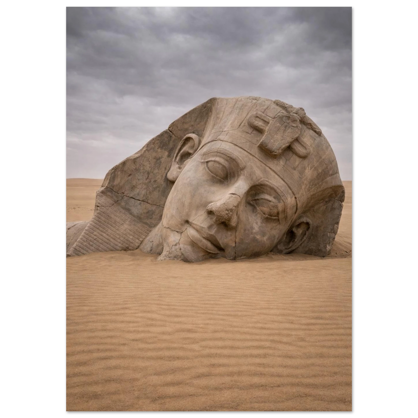 d133d239-24e1-4e34-84eb-037eab2e56e8